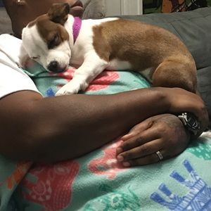 Meet your Posher, Tanisha